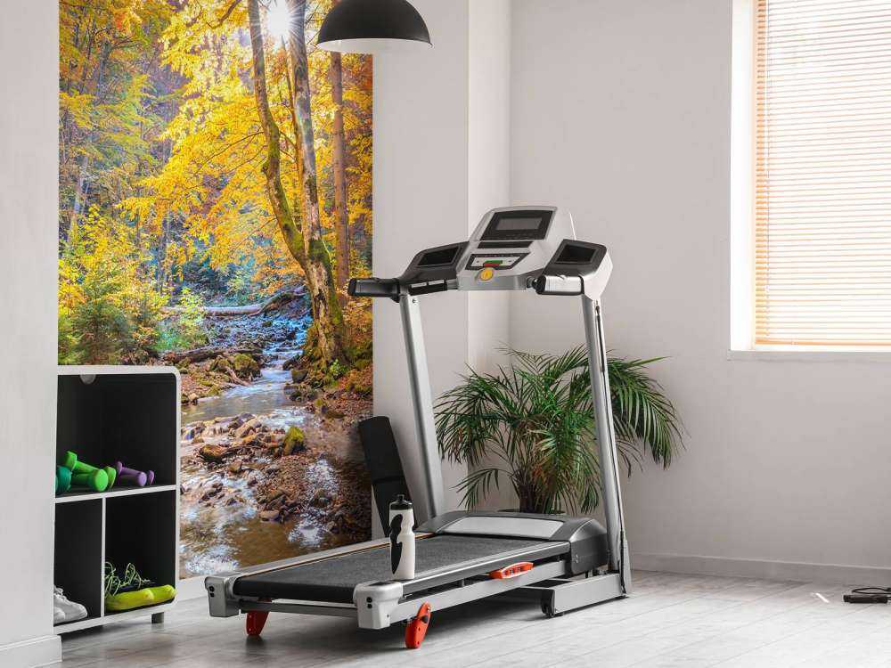 Jesień w dzikim lesie