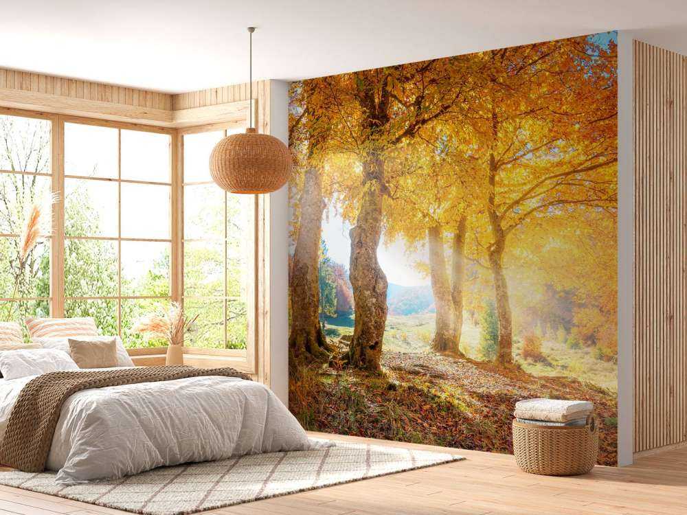 Ciepły jesienny krajobraz