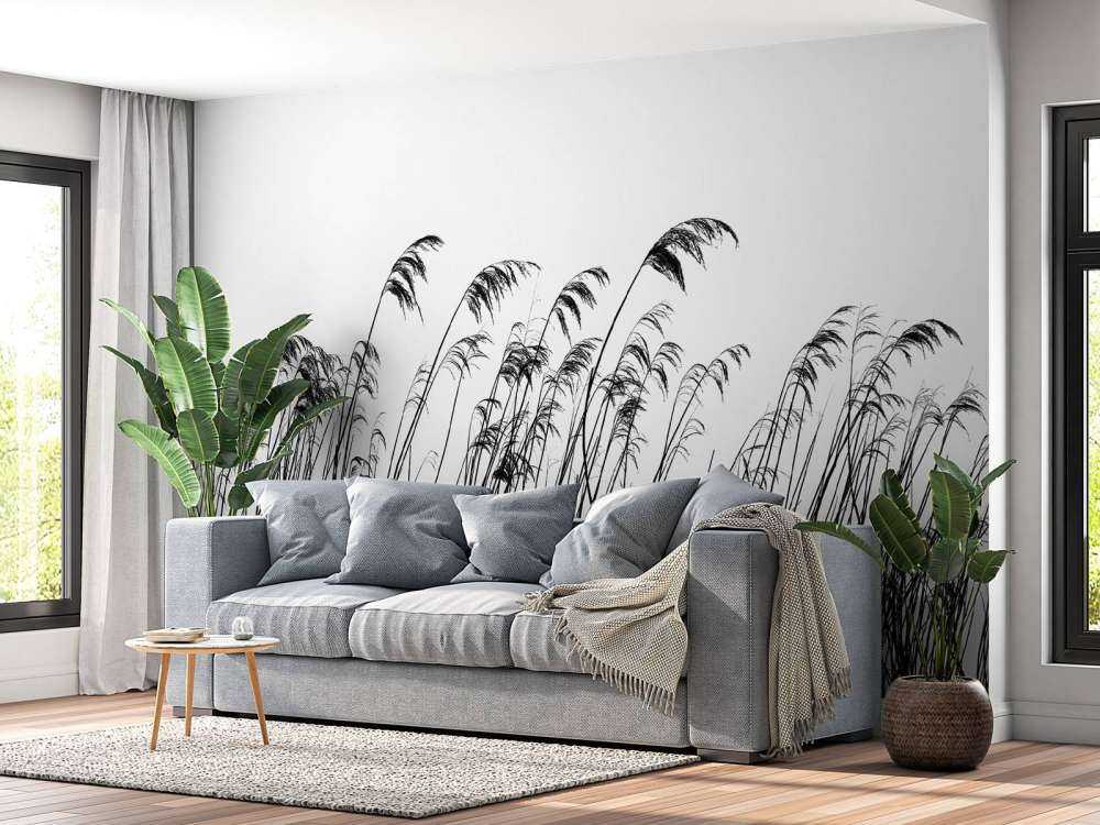 Trzcina wzdłuż nabrzeża w czerni i bieli