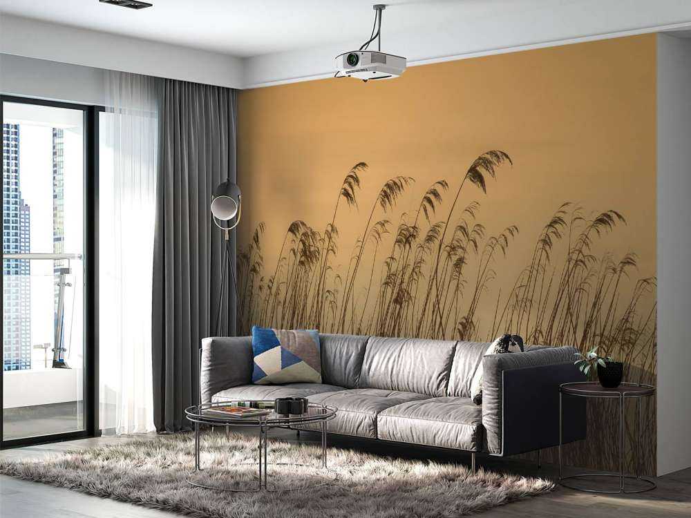 Trzcina wzdłuż nabrzeża