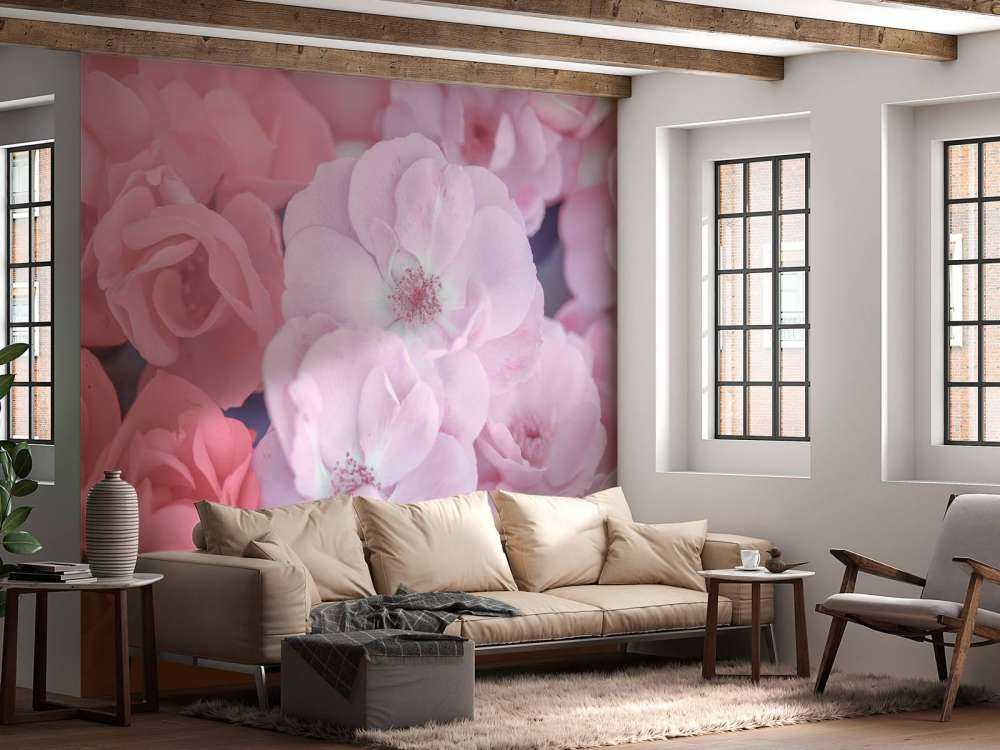 Różowe kwiaty urzędnicze