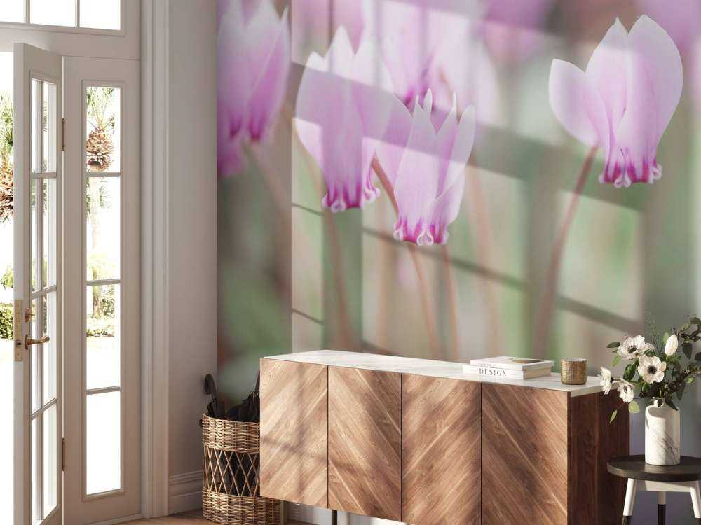 Ładne kwiaty bluszczu