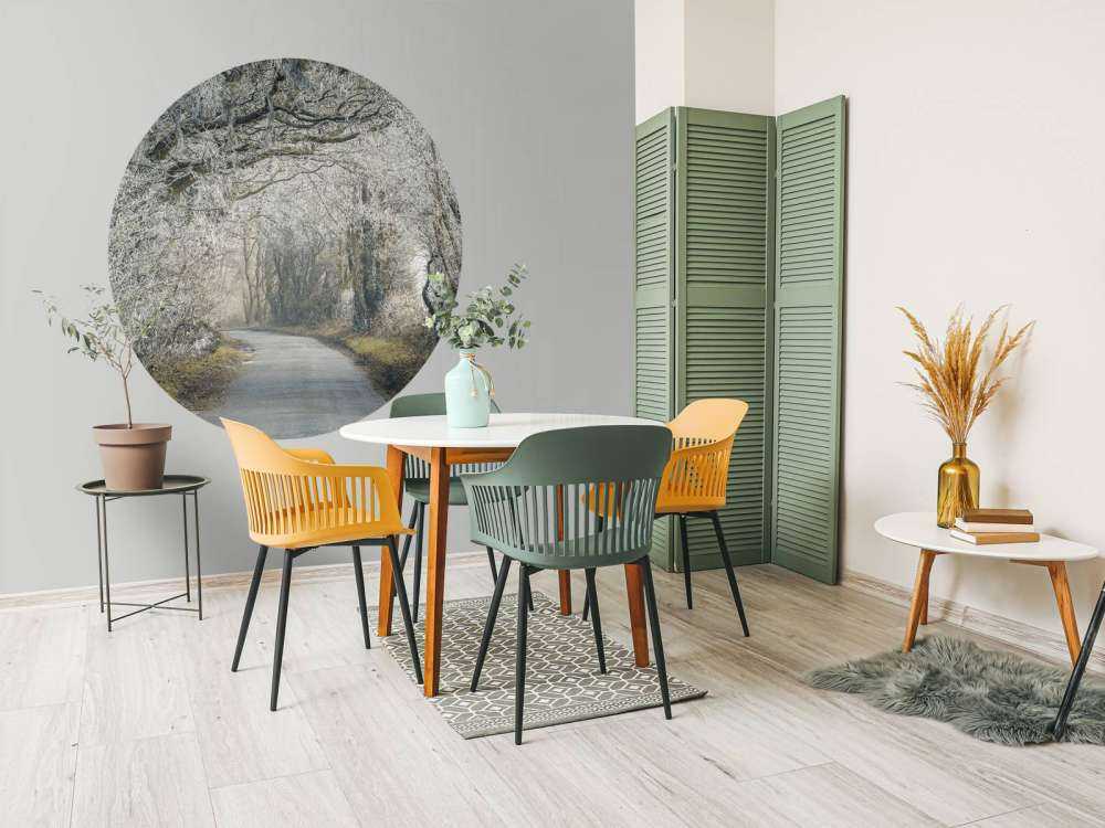 Zamarznięta droga przez las