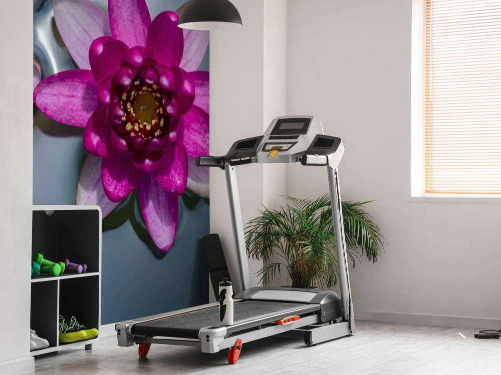 Różowy kwiat lotosu w wodzie