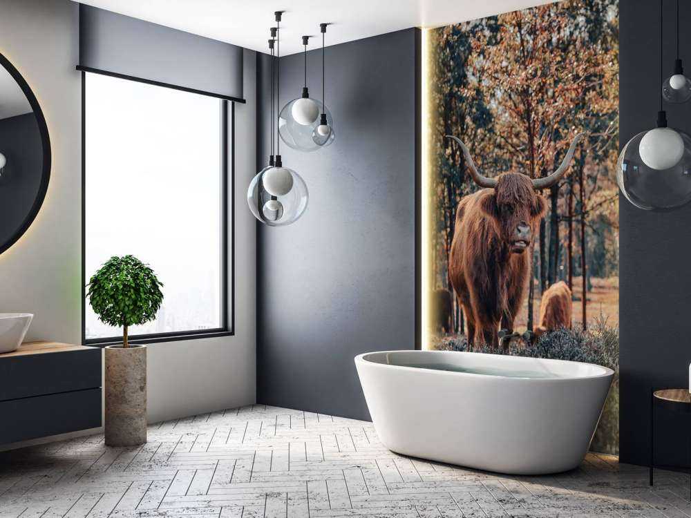 Szkocki góral na skraju lasu