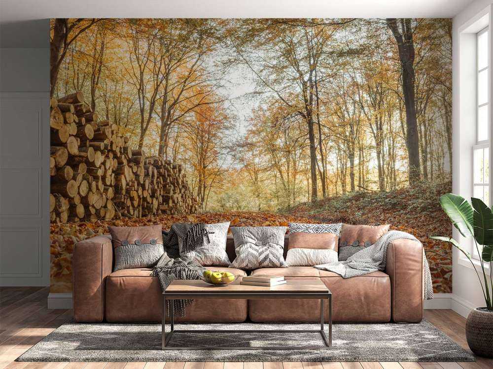 Pnie drzew w jesiennym lesie