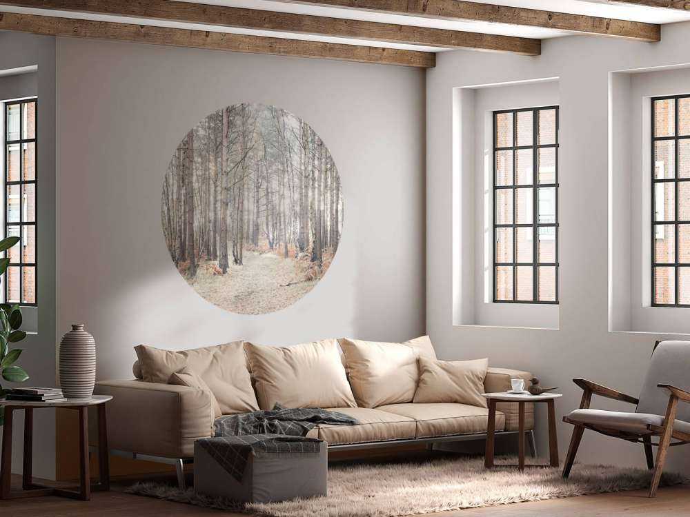 Piaszczysta ścieżka przez las