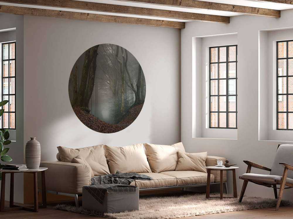 Ścieżka przez tajemniczy las