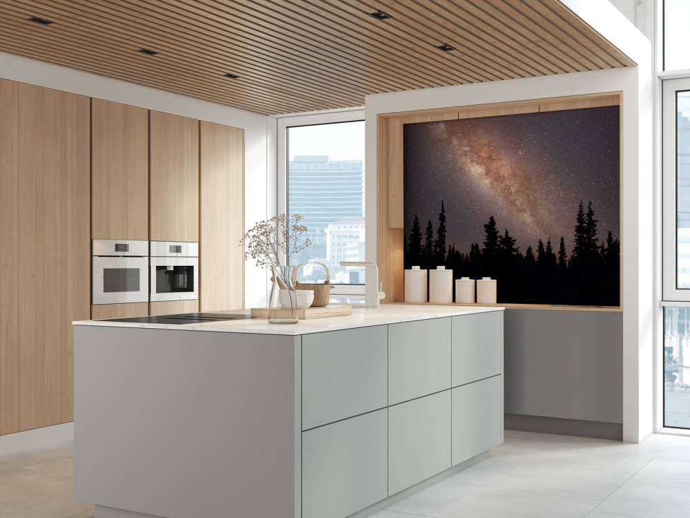 Droga Mleczna nad sylwetką drzew