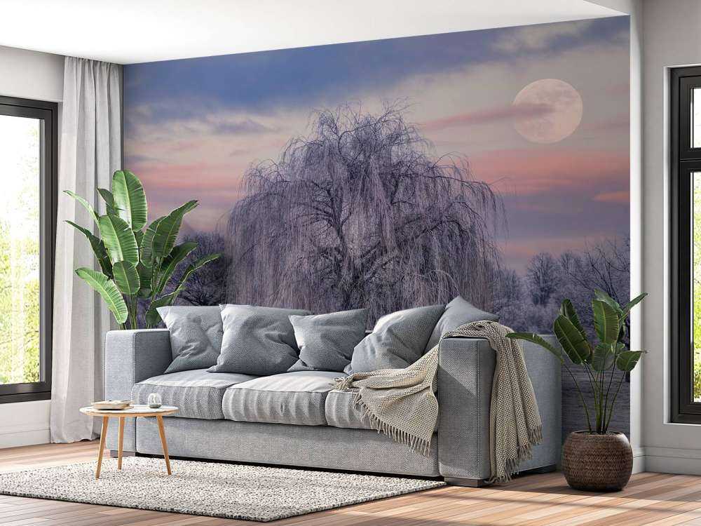 Drzewo pokryte mrozem