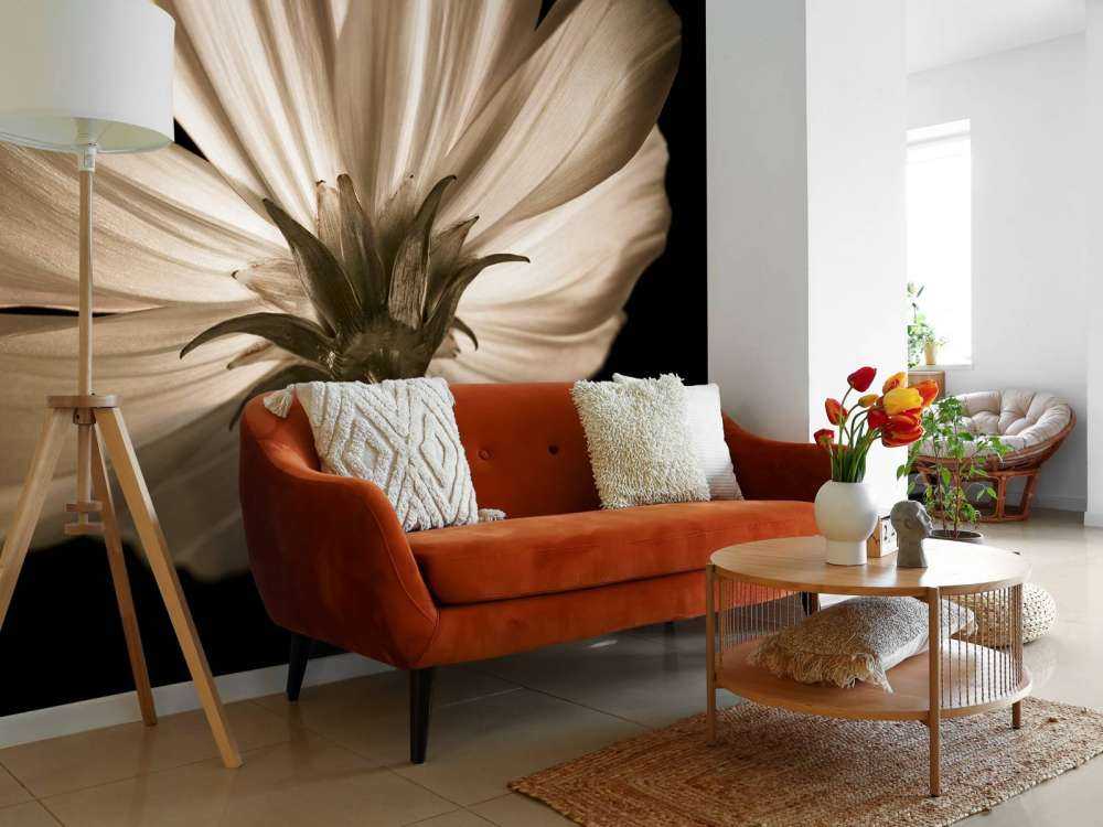 Kwiat kosmosu od dołu