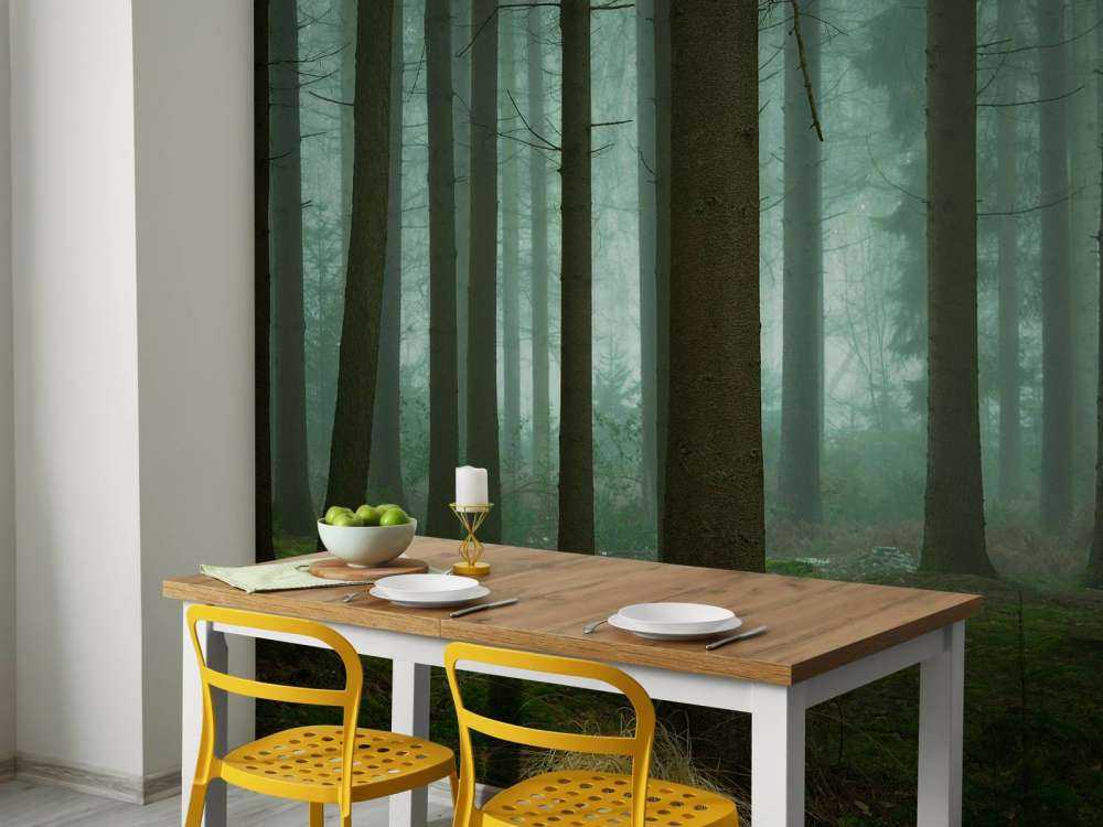 The Cold, Dark Days of Winter