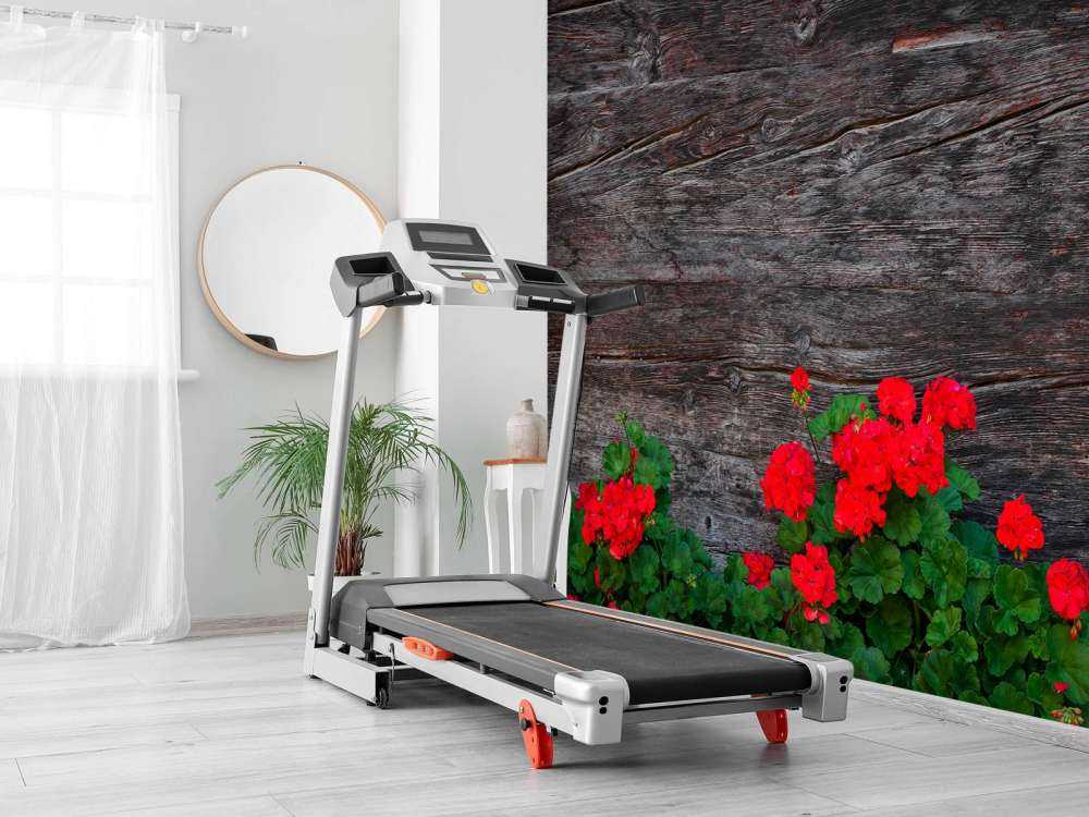 Drewno zwietrzałe z kwiatami