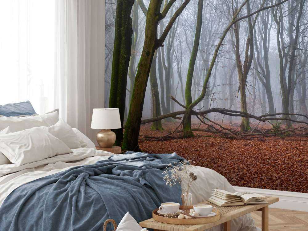 Tajemniczy, zamglony las