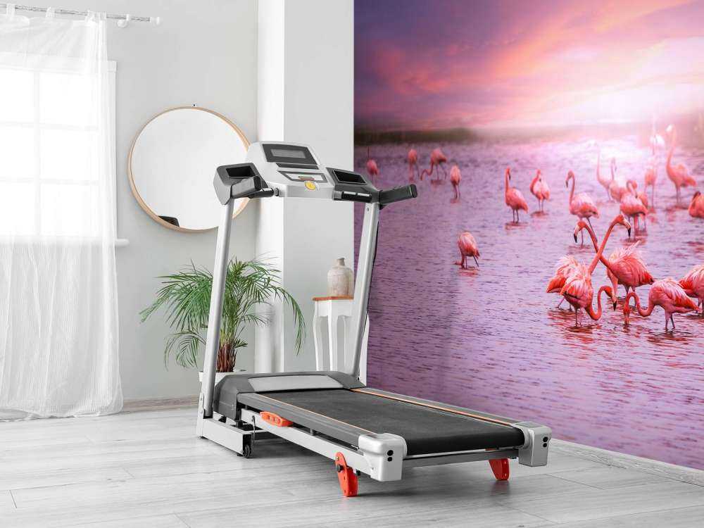 Flamingi na tle zachodzącego słońca