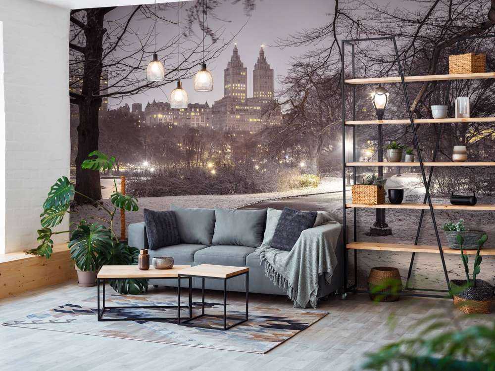 Central Park pokryty śniegiem