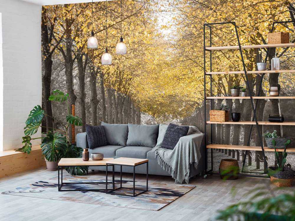 Ścieżka wśród drzew