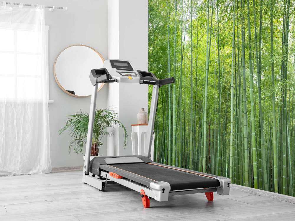 Zielony las bambusowy