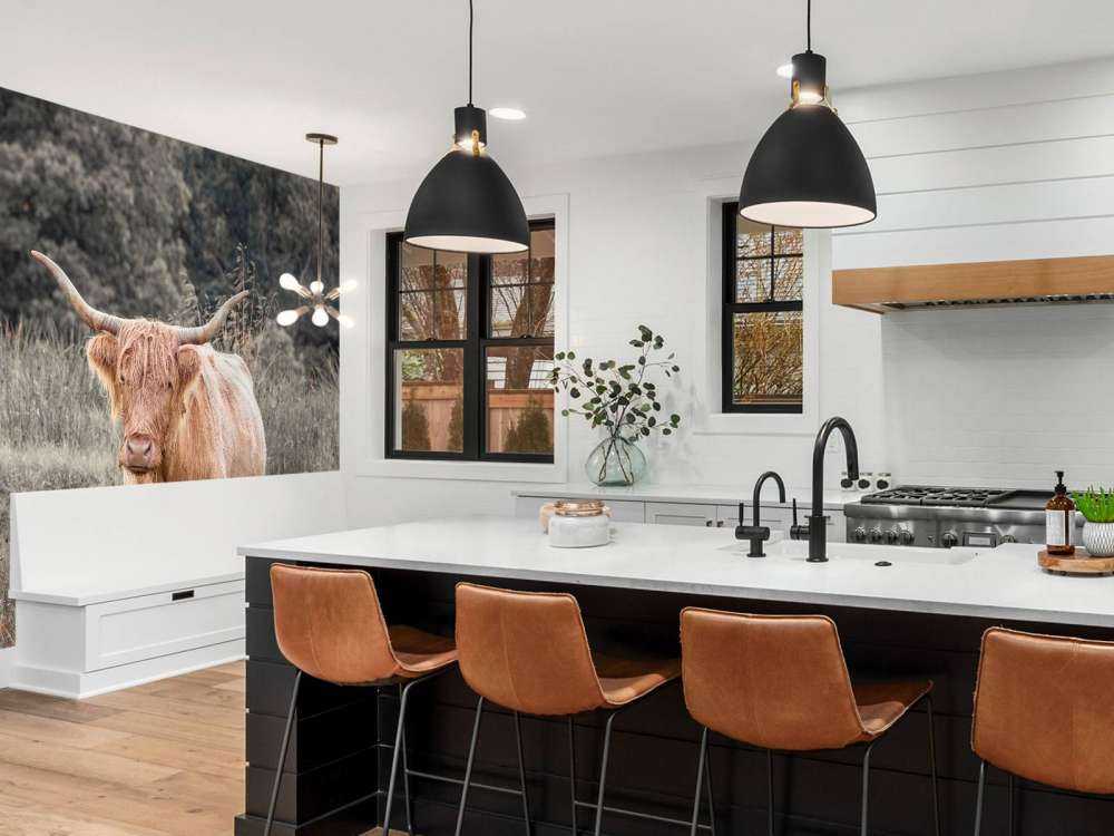 Szkocki wyżyn na polu