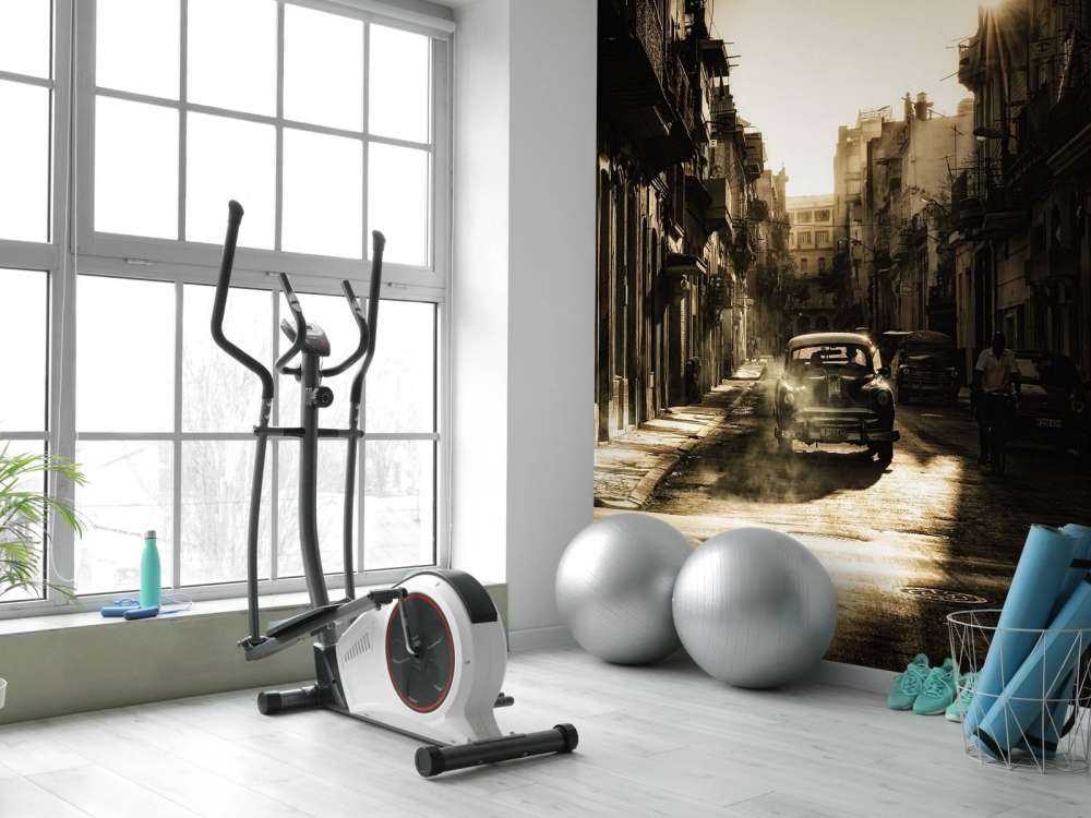 Mystic morning in Havana