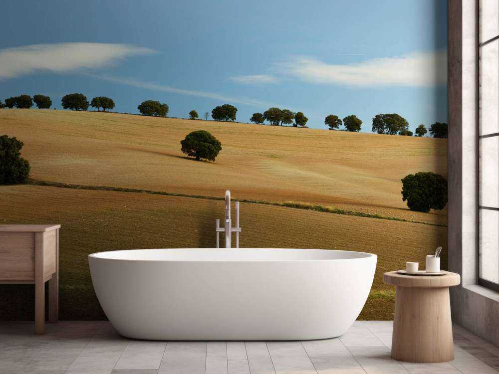 Drzewa w hiszpańskim krajobrazie