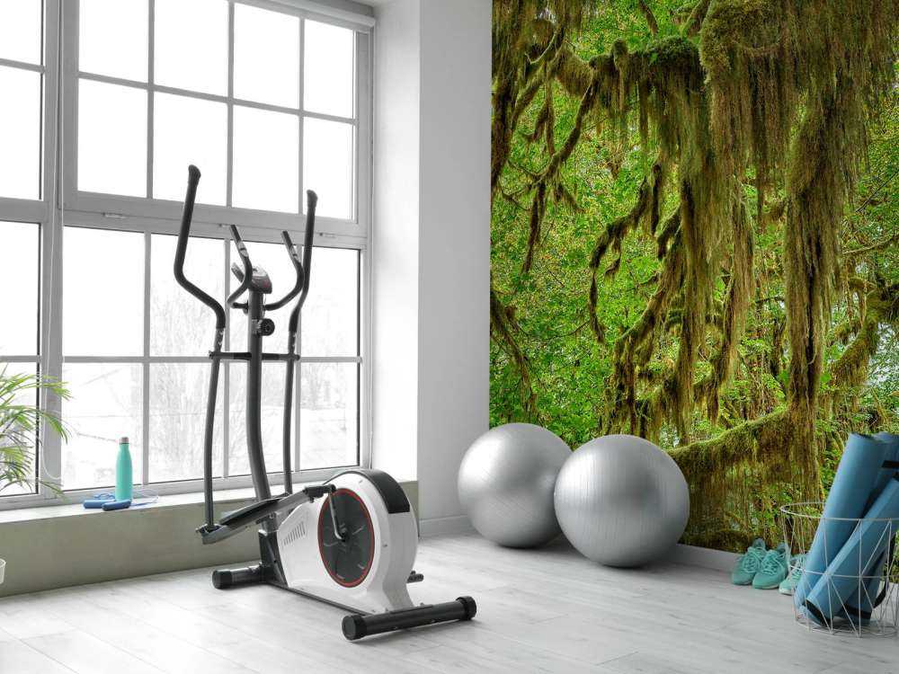 Mchy na gałęziach drzew