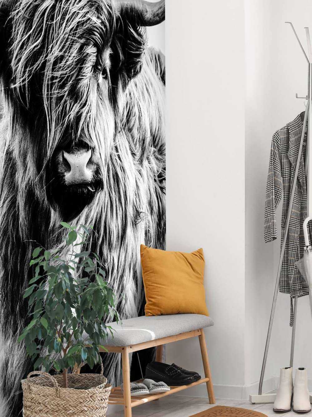 Szkocka rasa wyżynna w czerni i bieli