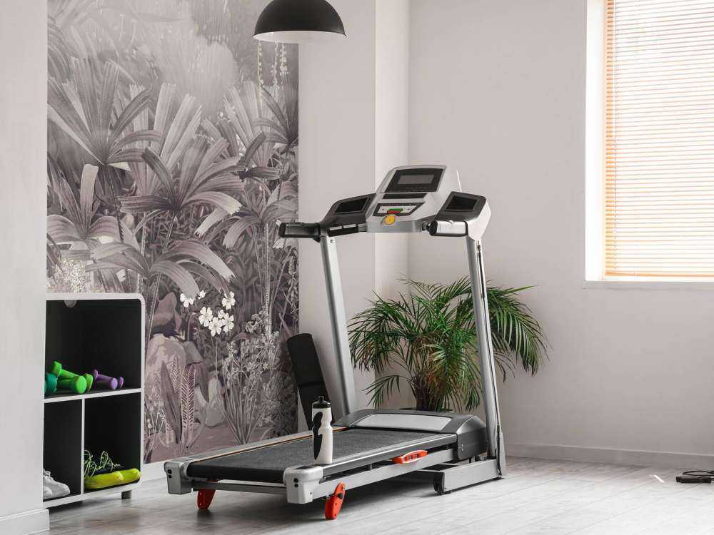 Poranek w Tropikalnym Ogrodzie Fioletowym