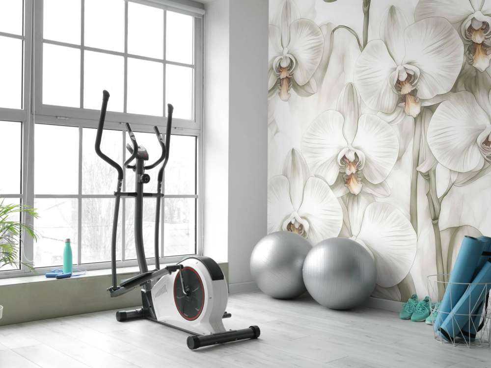 Orchidee Raj Żółty