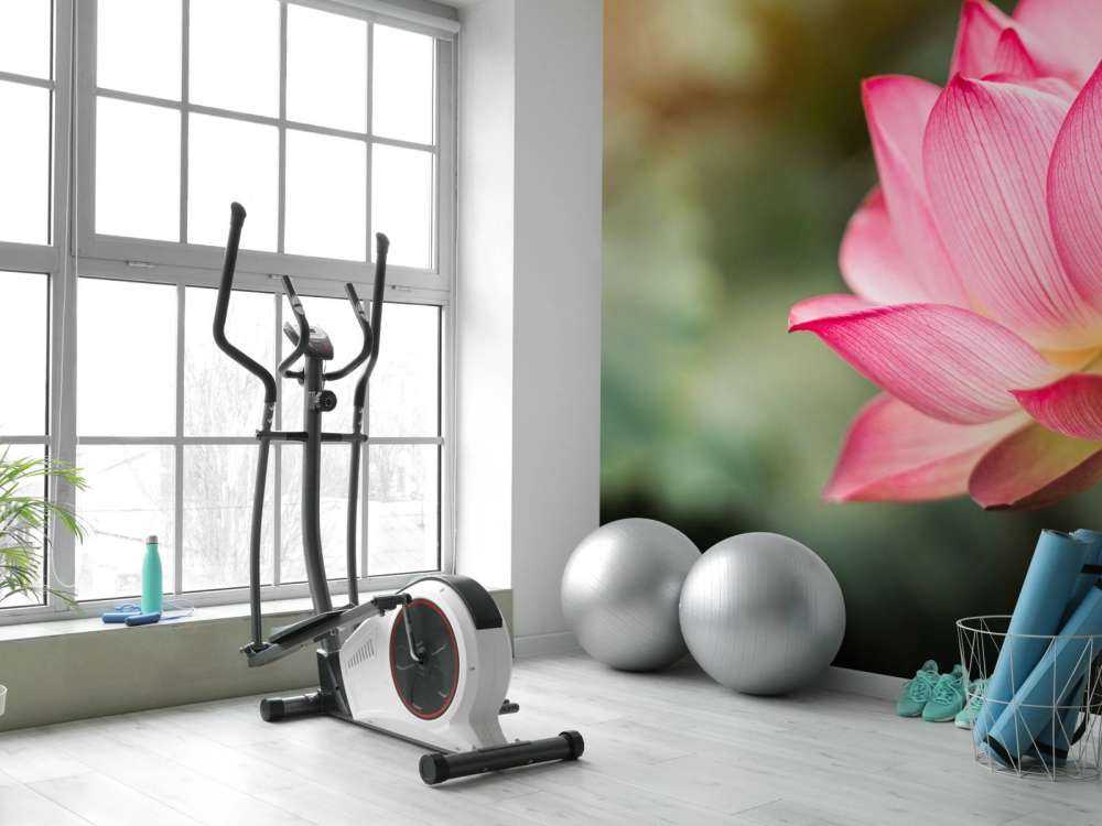 Kwiat lotosu w kolorze zielonym