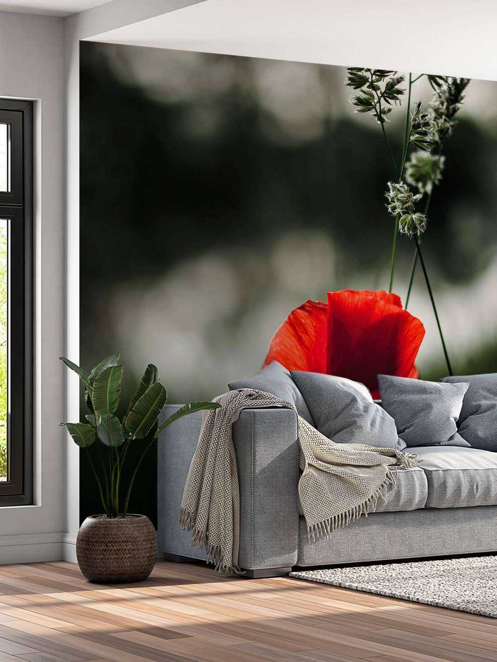 Czerwony mak z trawą