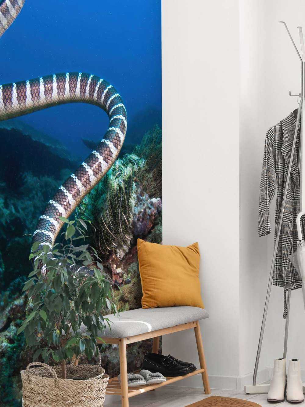 Pasiasty wąż morski