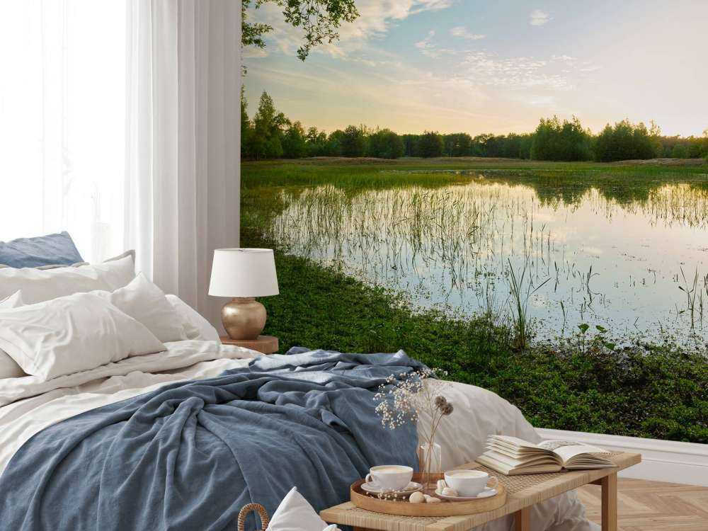 Zachód słońca w lesie