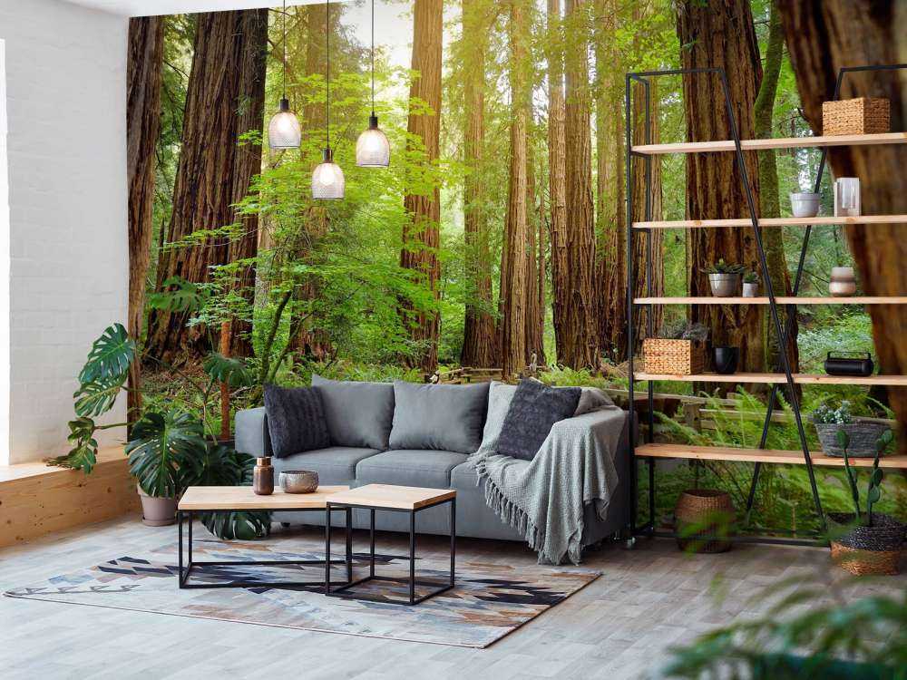 Wysokie drzewa w parku