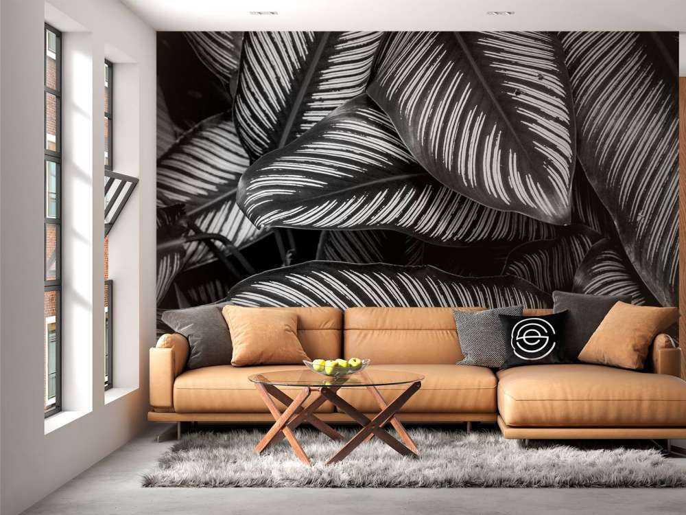 Liście palmy czarno-białej