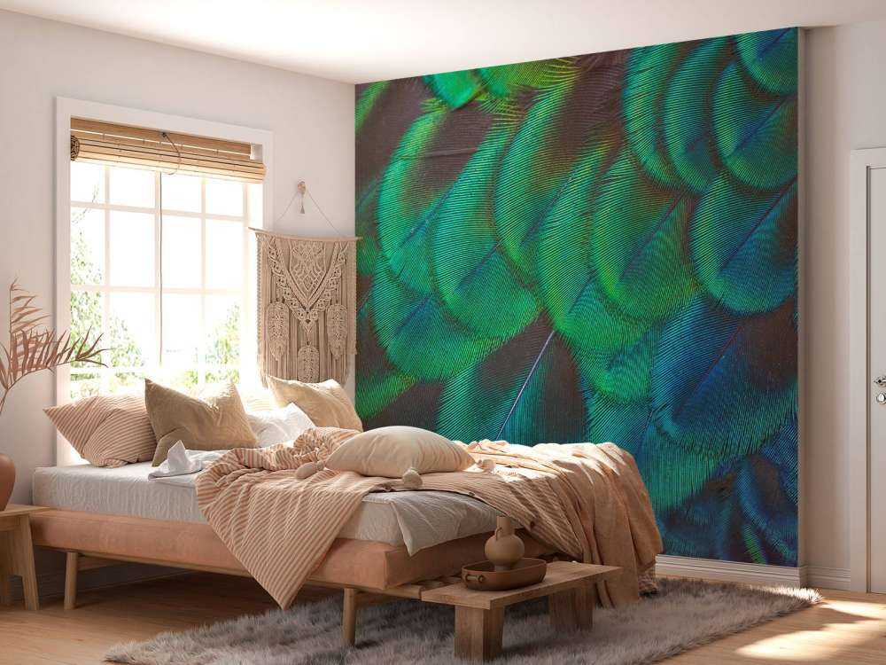 Zbliżenie na pawie pióra