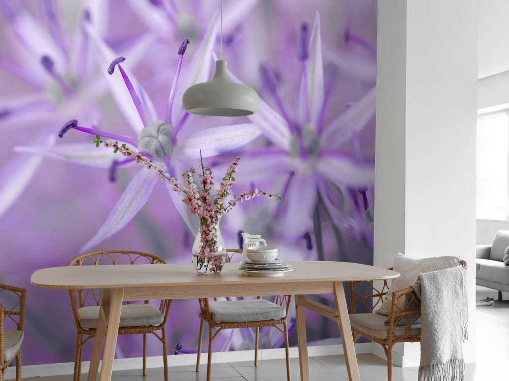 Fioletowe kwiaty allium
