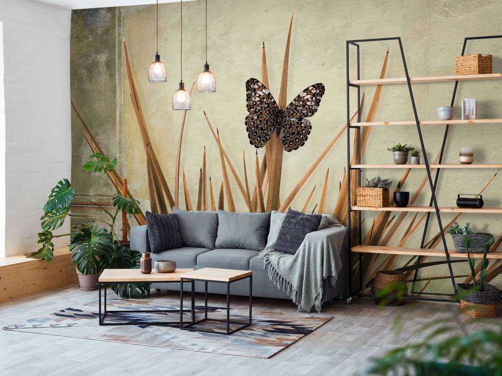 Motyl przy starej ścianie