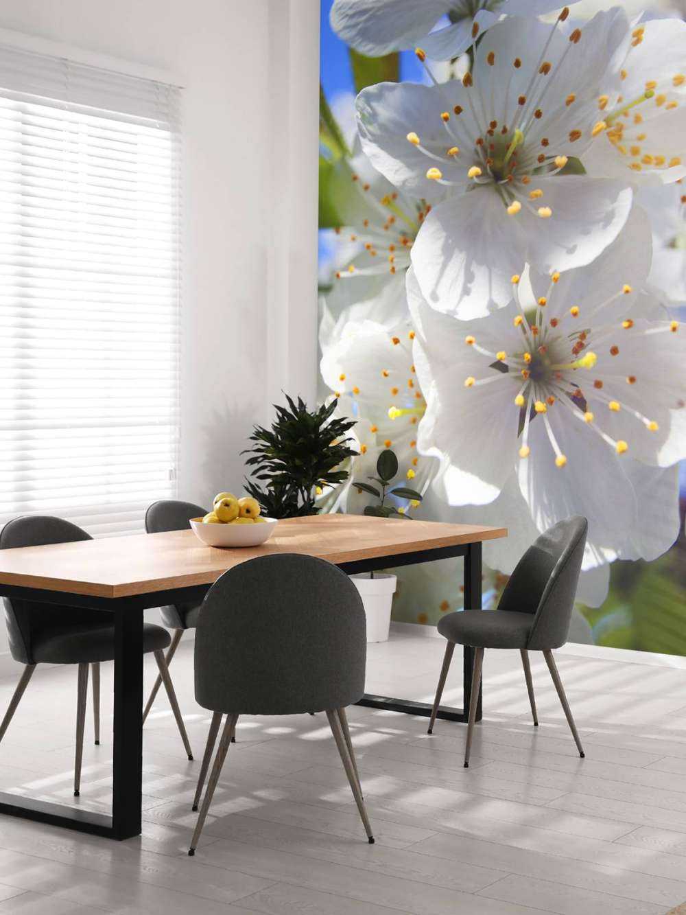 Zbliżenie na białe kwiaty