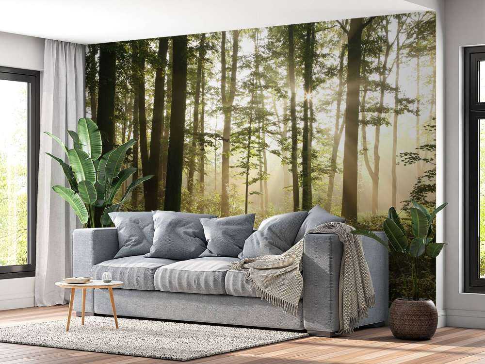 Mglisty las liściasty