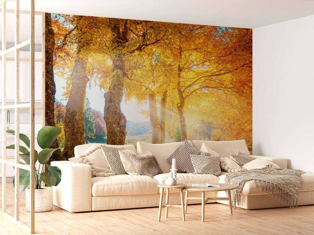 Ciepły jesienny krajobraz