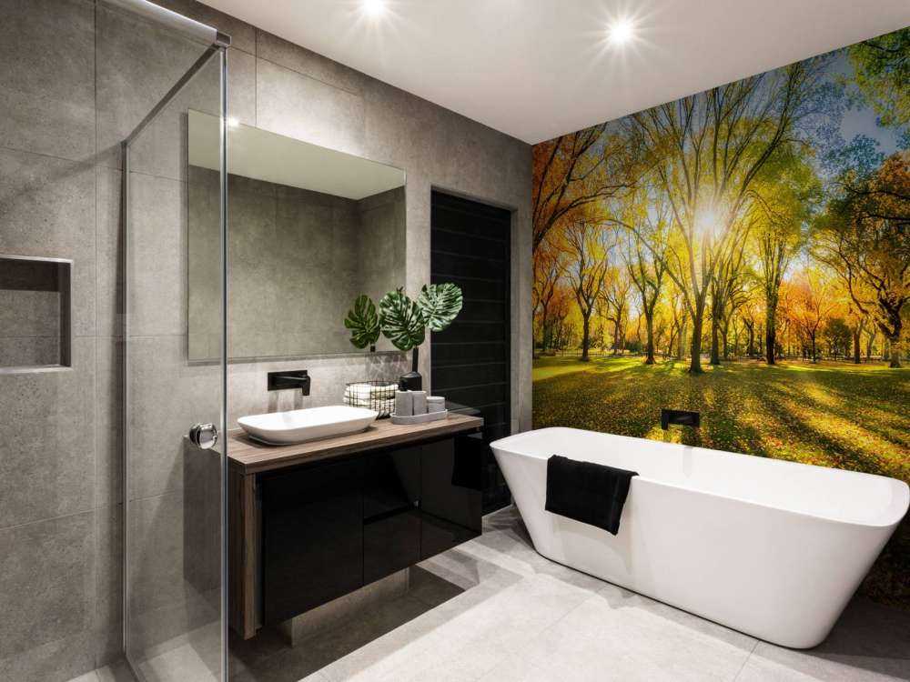 Kolorowy jesienny las