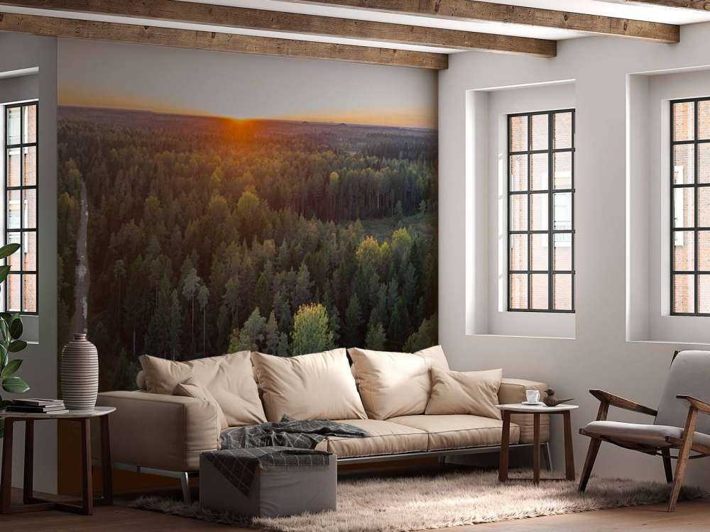 Zdjęcie lotnicze jesiennych drzew