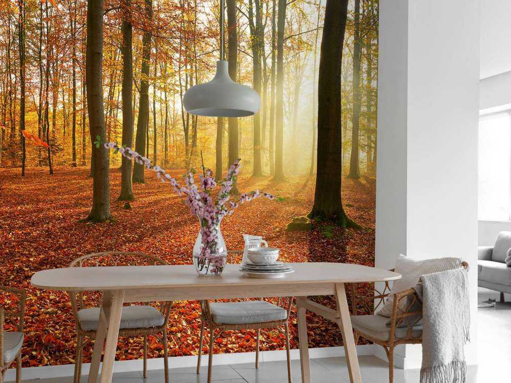 Jesienny poranek w lesie