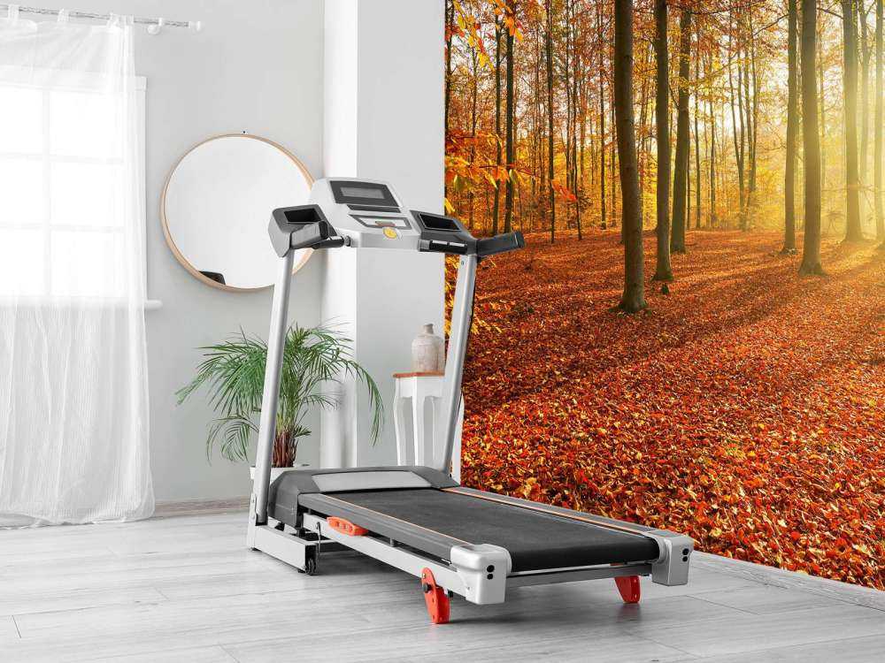 Jesienny poranek w lesie