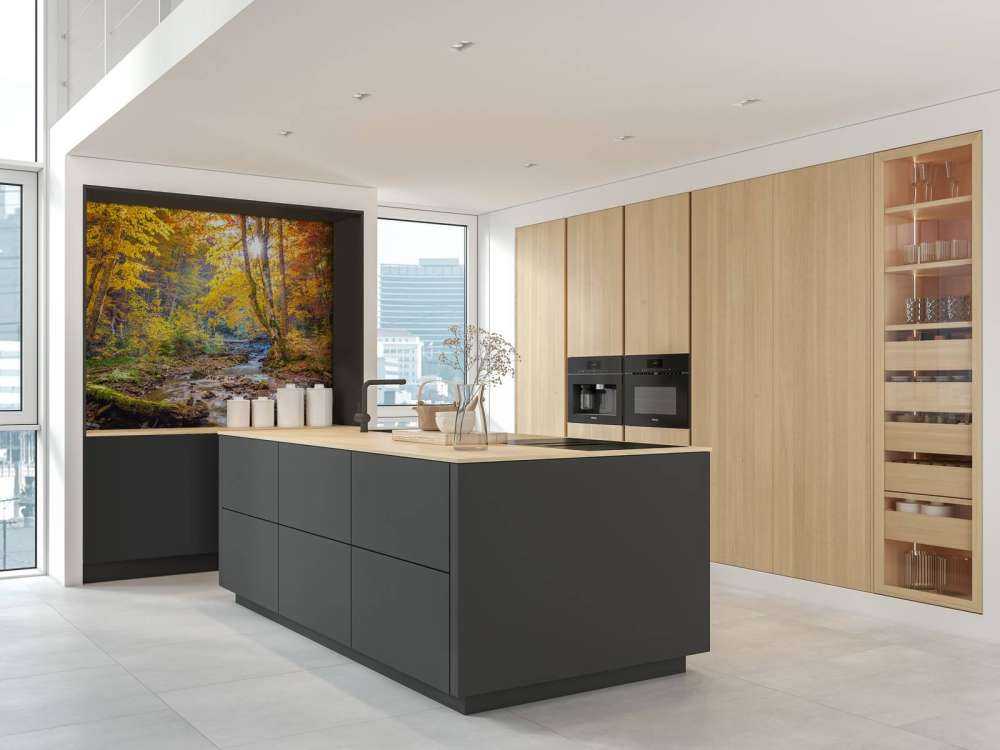 Jesień w dzikim lesie