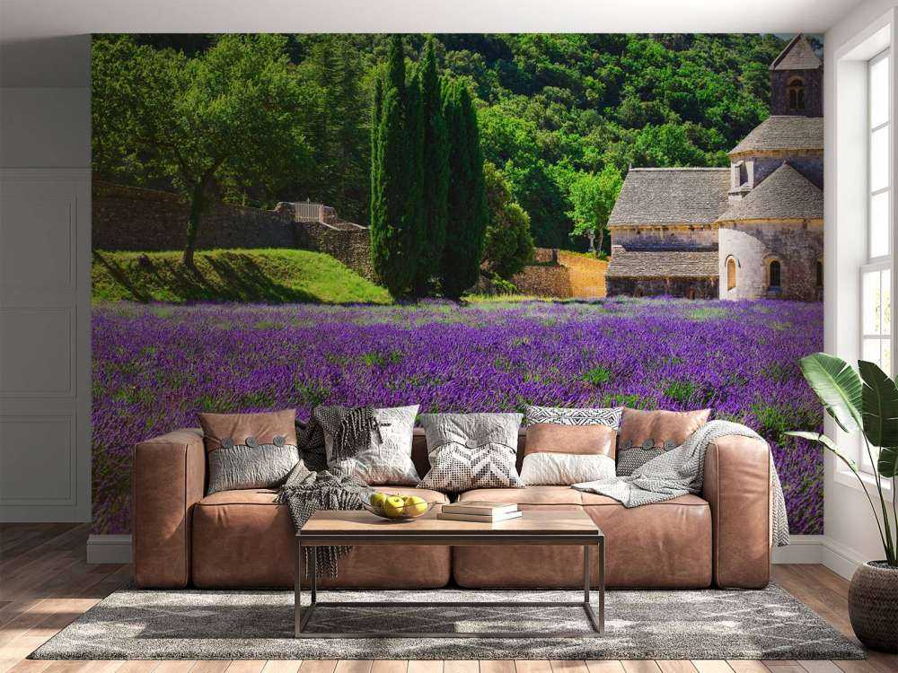 Bajkowe pole lawendy