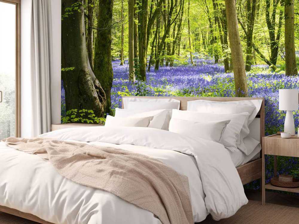 Las w blasku słońca