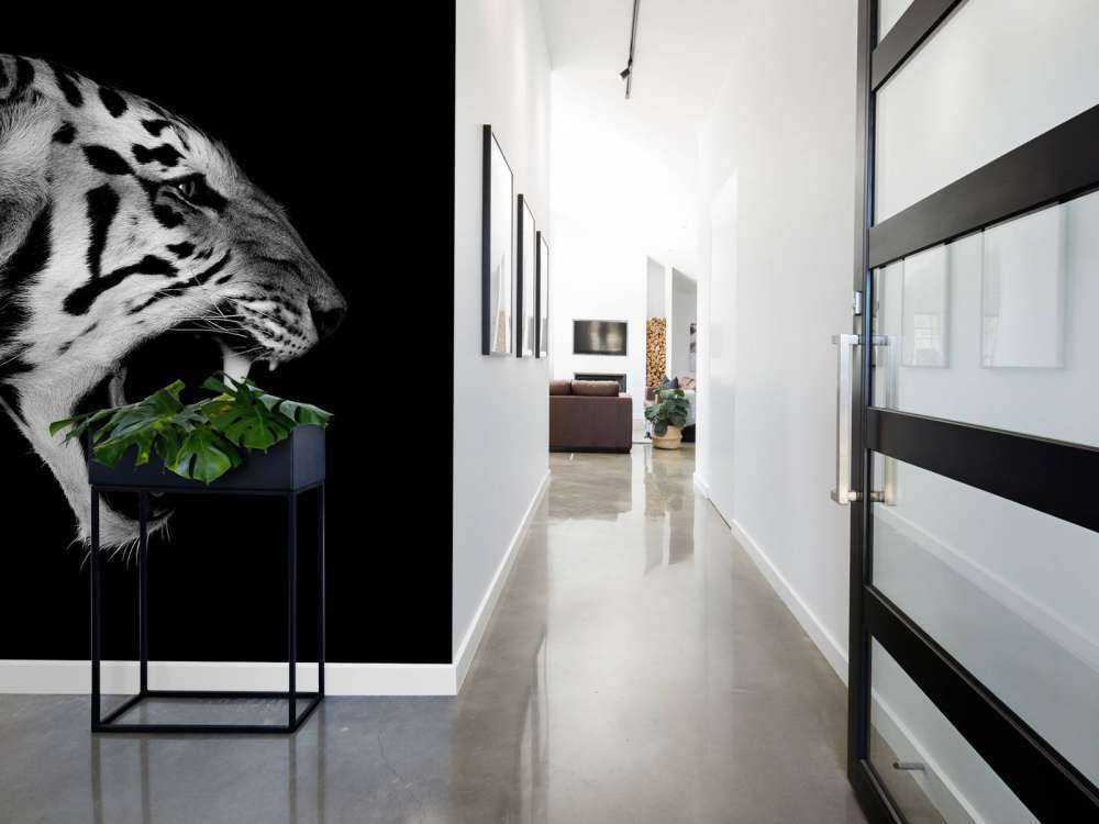 Ryczący tygrys czarny