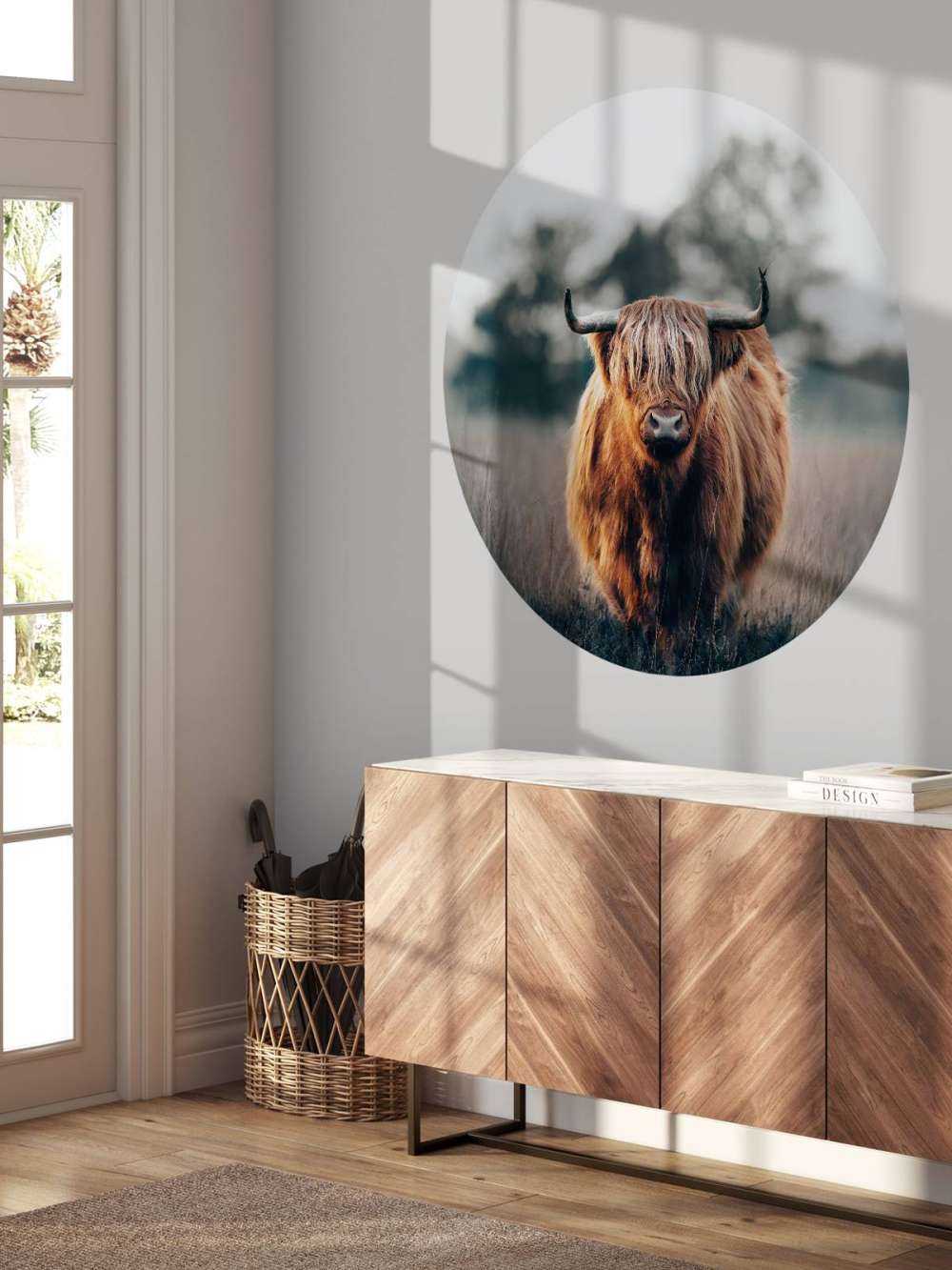 Portret mieszkańców Highlands